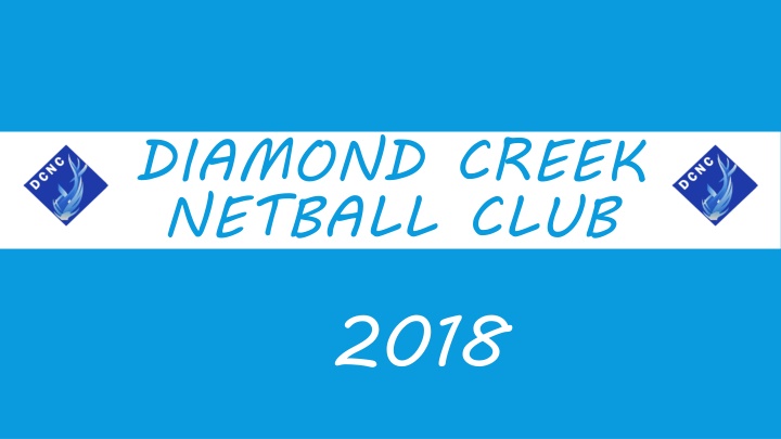 diamond creek netball club 2018