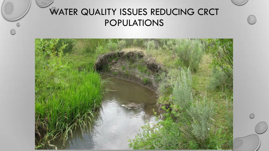 water quality issues reducing crct populations