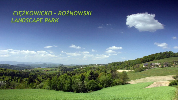 ci kowicko ro nowski landscape park