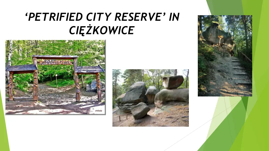 petrified city reserve in ci kowice