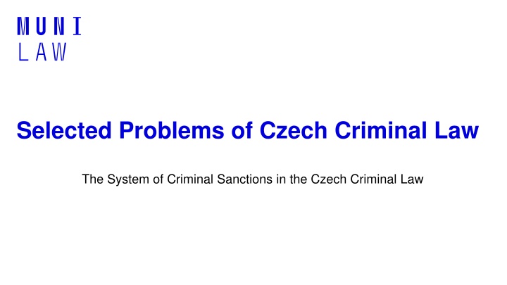 selected problems of czech criminal law