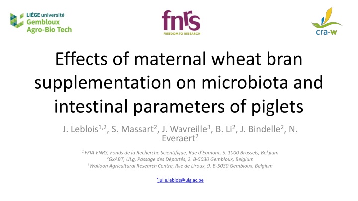 effects of maternal wheat bran supplementation