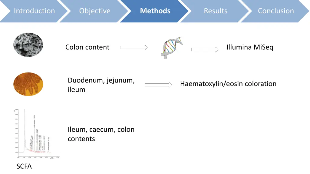 introduction 7