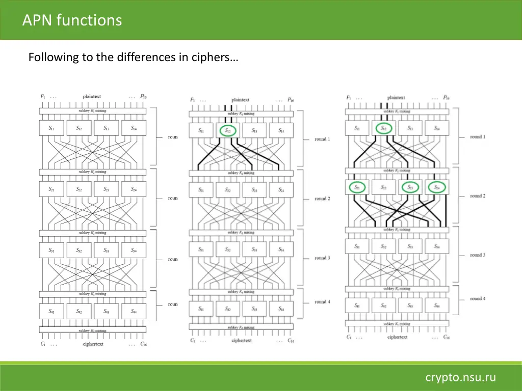 apn functions 1