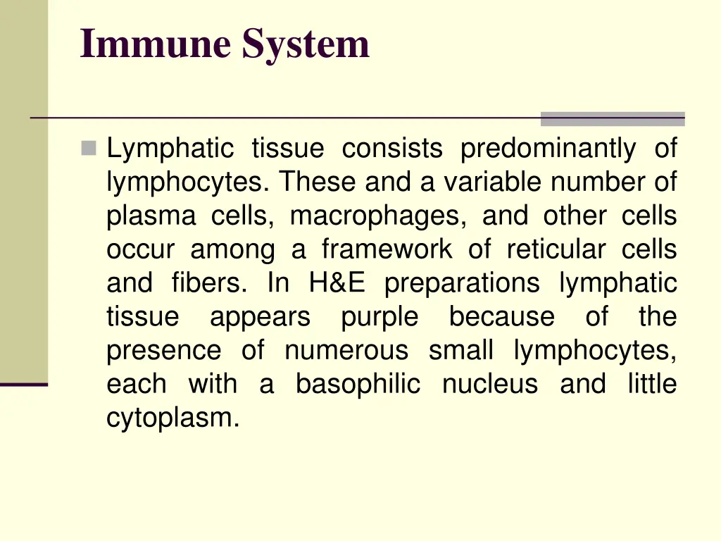 immune system