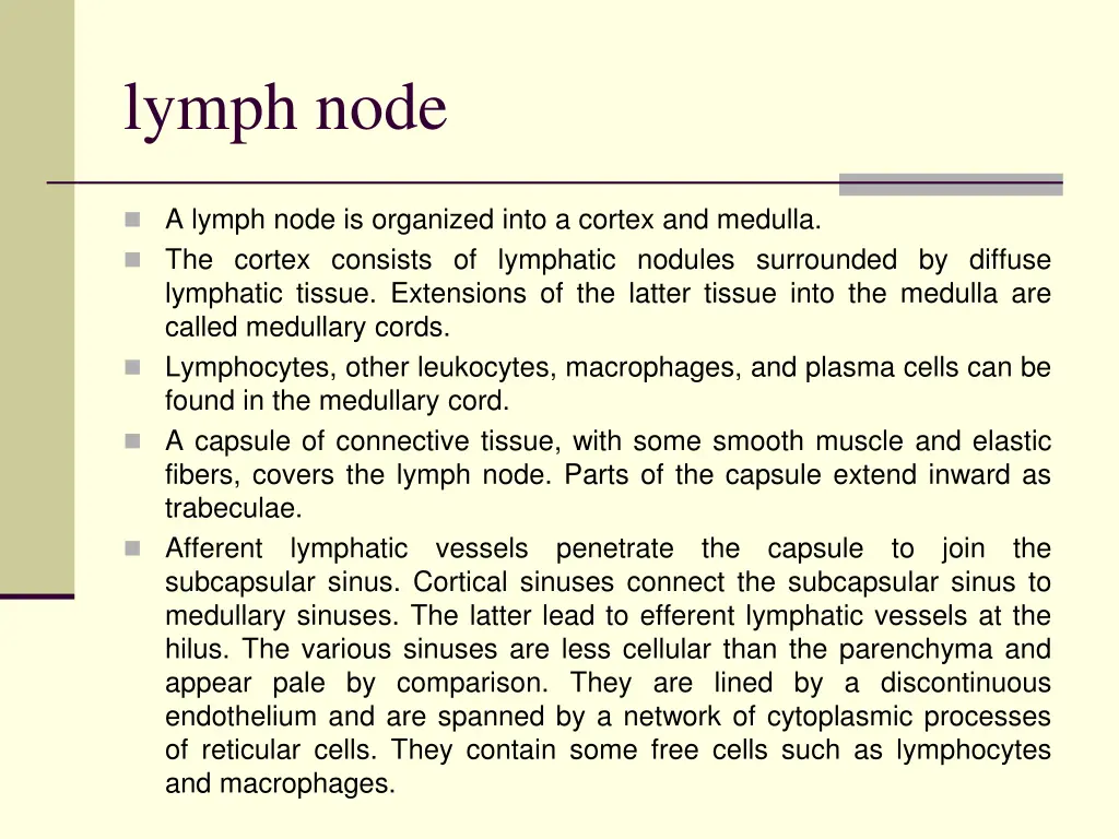 lymph node