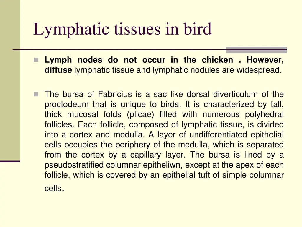 lymphatic tissues in bird