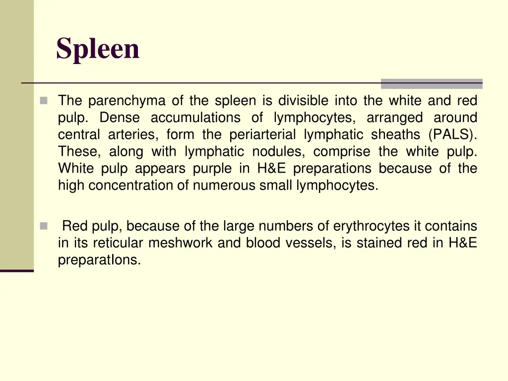 spleen 1