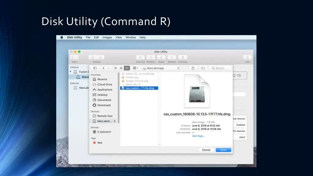 disk utility command r 1