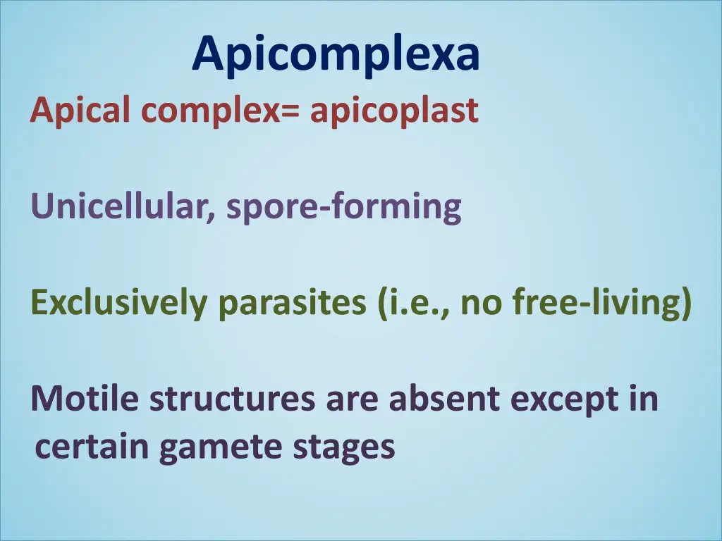 apicomplexa 1