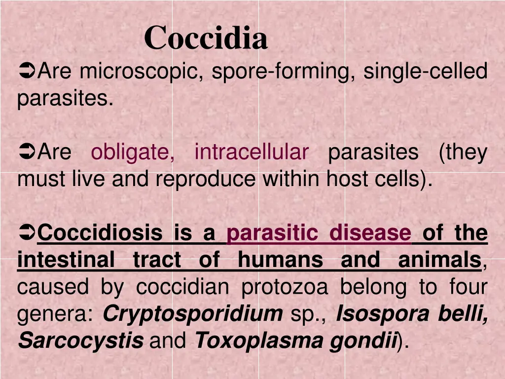 coccidia