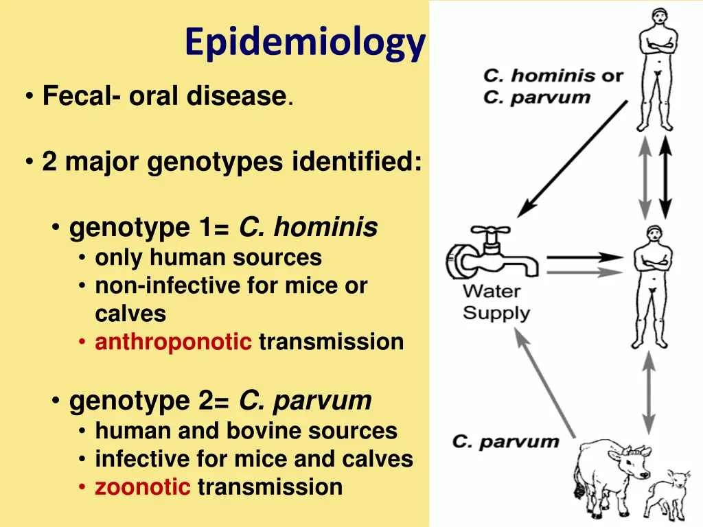 epidemiology