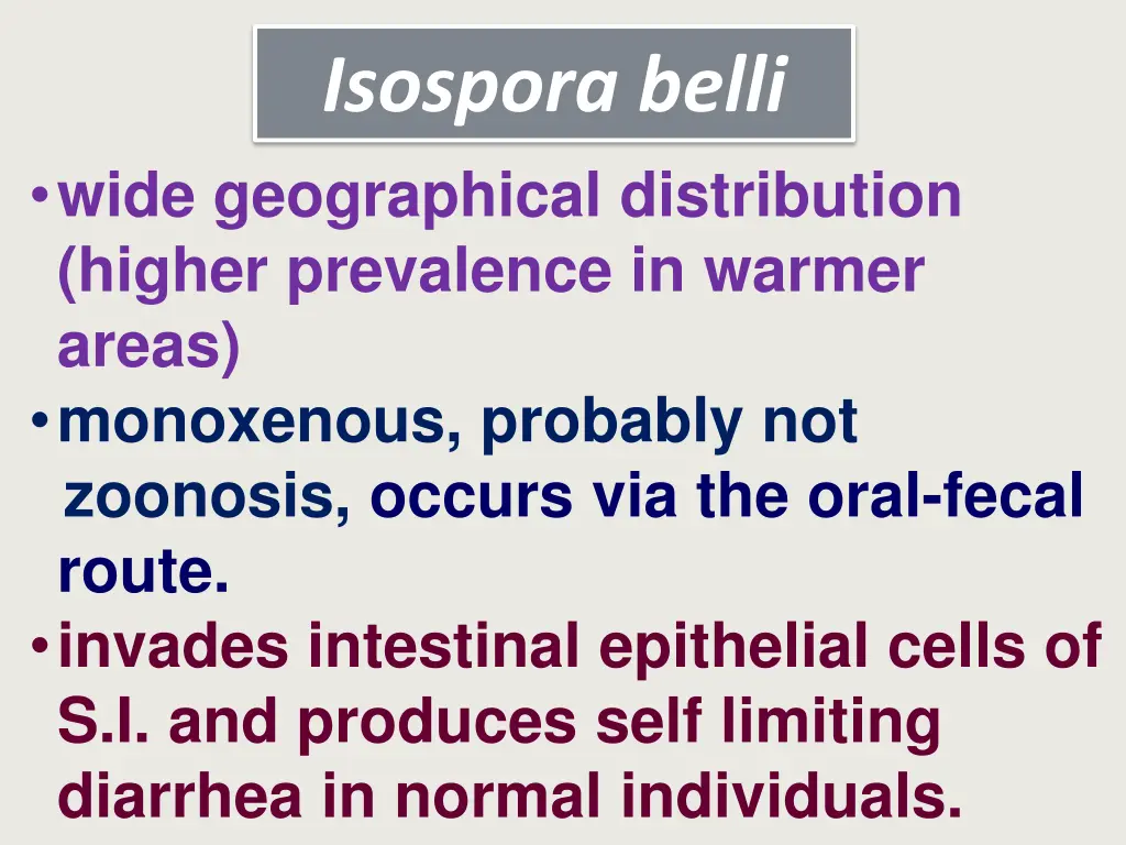 isospora belli 1