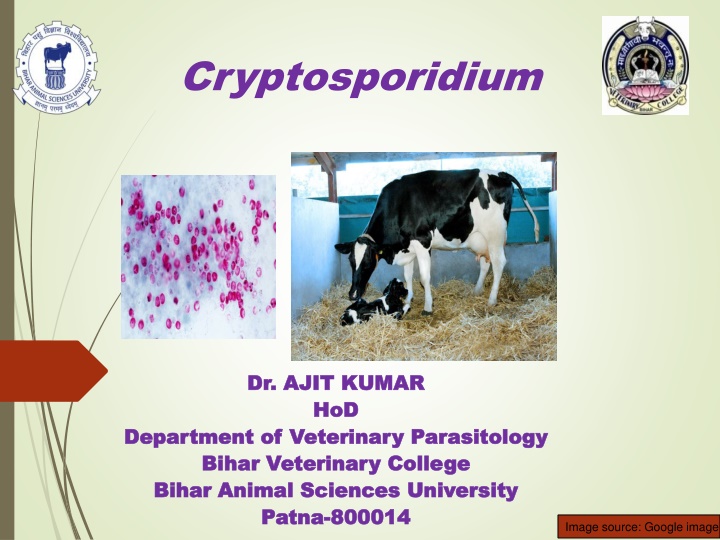 bihar animal sciences university