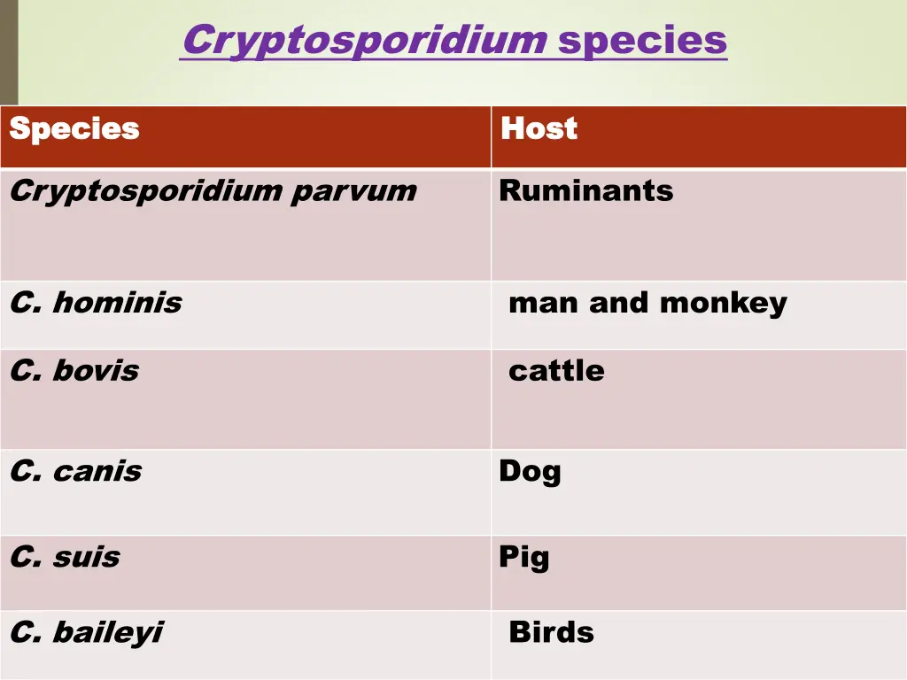 cryptosporidium species