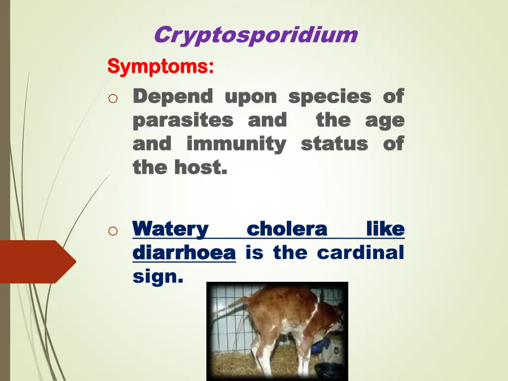 cryptosporidium symptoms symptoms o depend depend