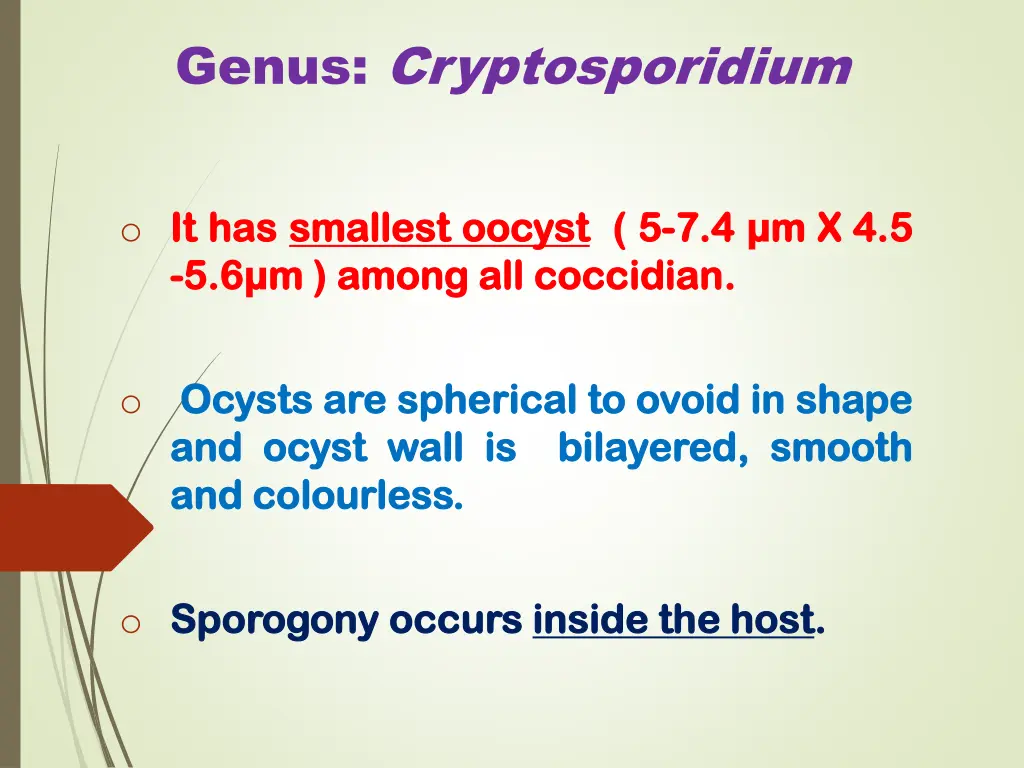 genus cryptosporidium 2