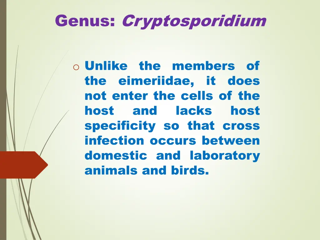 genus cryptosporidium 4