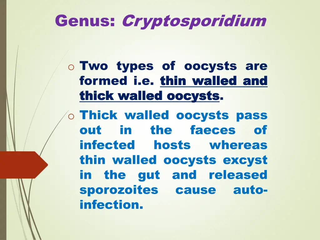 genus cryptosporidium 5