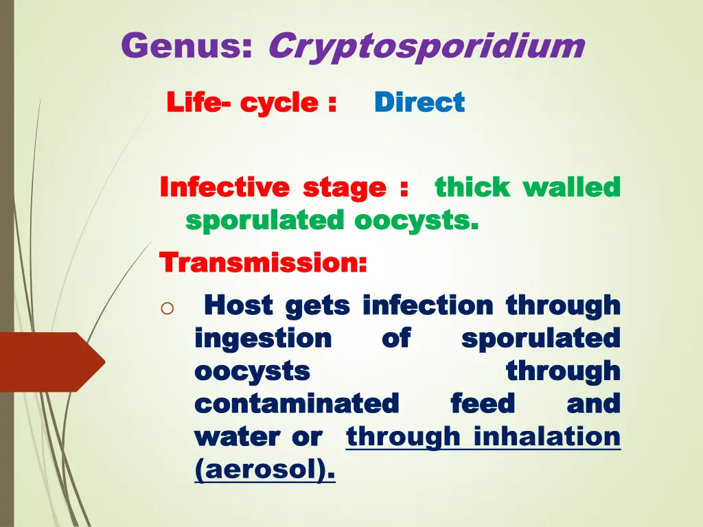 genus cryptosporidium life life cycle cycle direct