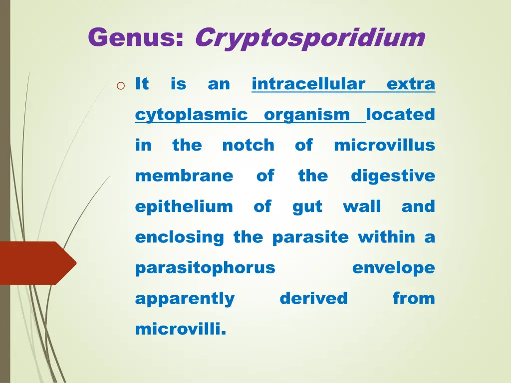 genus cryptosporidium