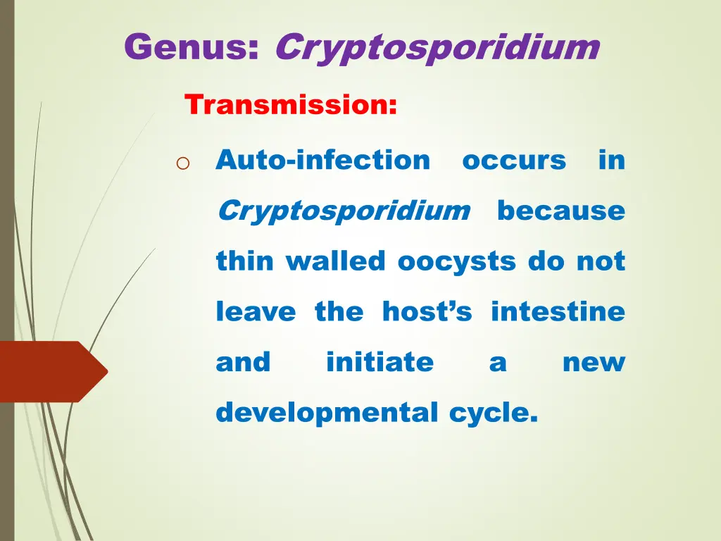 genus cryptosporidium transmission