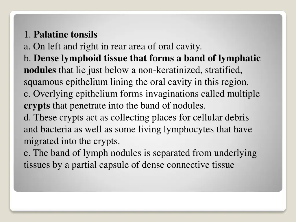 1 palatine tonsils a on left and right in rear