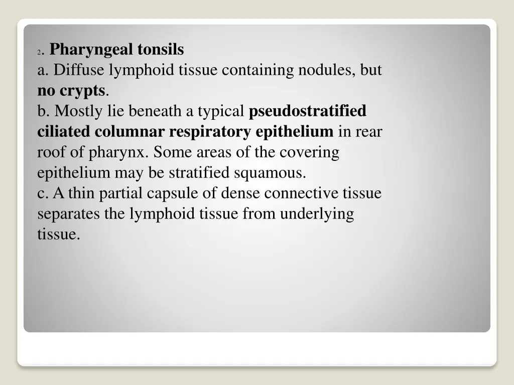 2 pharyngeal tonsils a diffuse lymphoid tissue 1