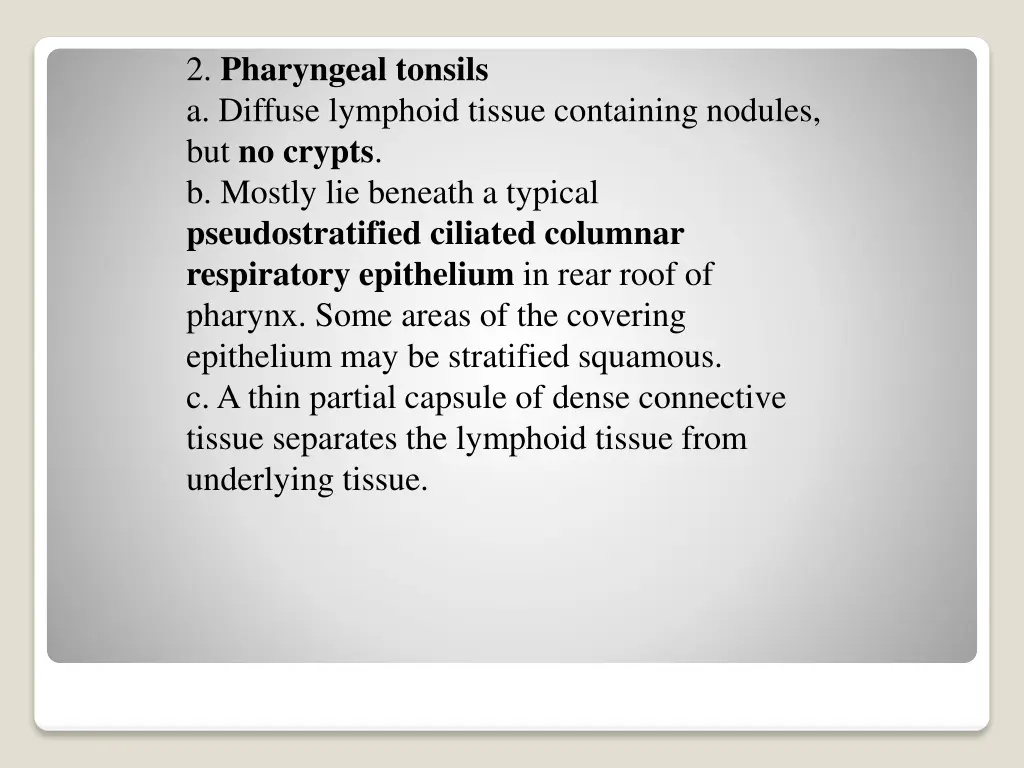 2 pharyngeal tonsils a diffuse lymphoid tissue