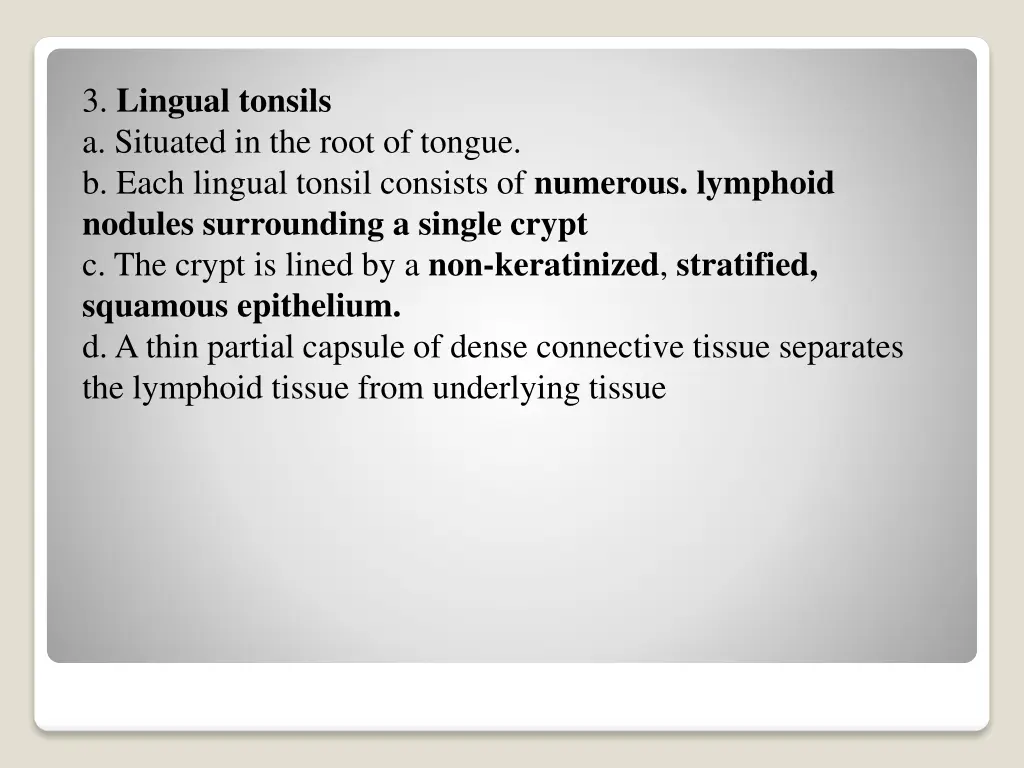 3 lingual tonsils a situated in the root