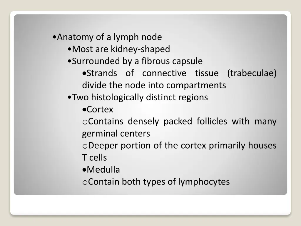 anatomy of a lymph node most are kidney shaped