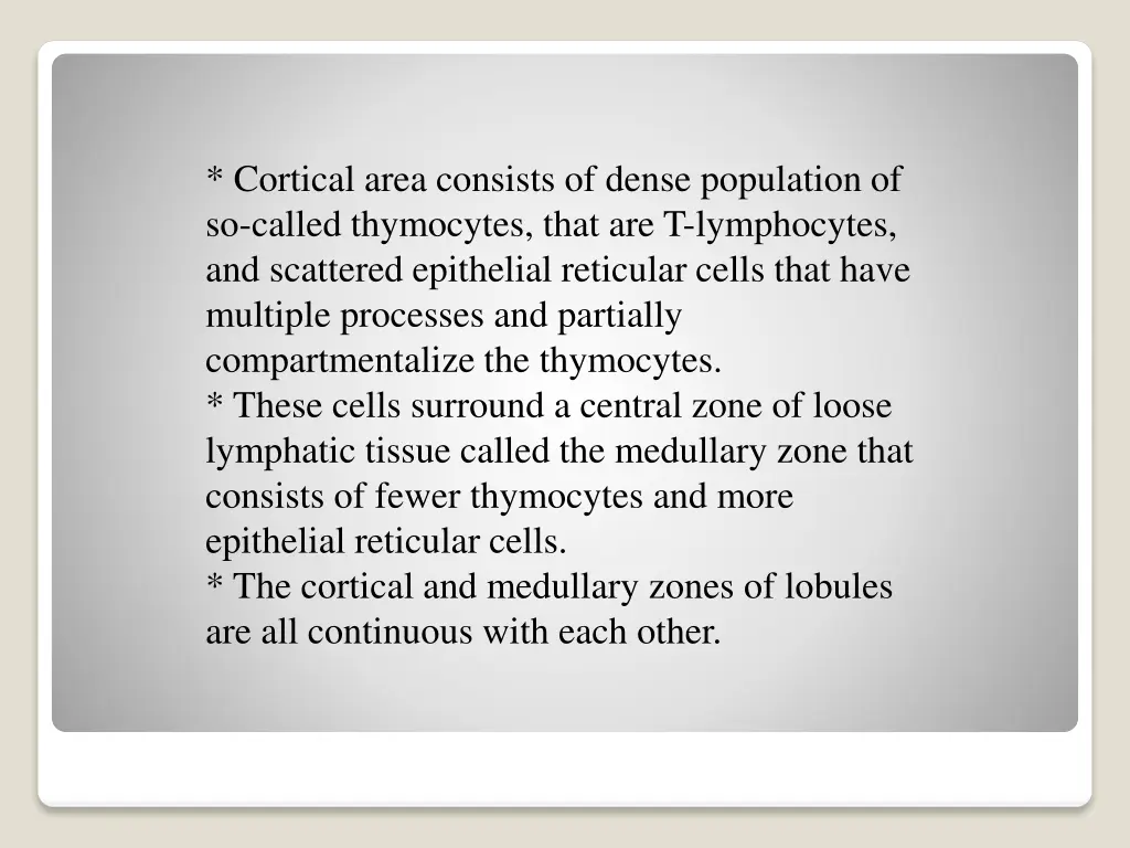 cortical area consists of dense population