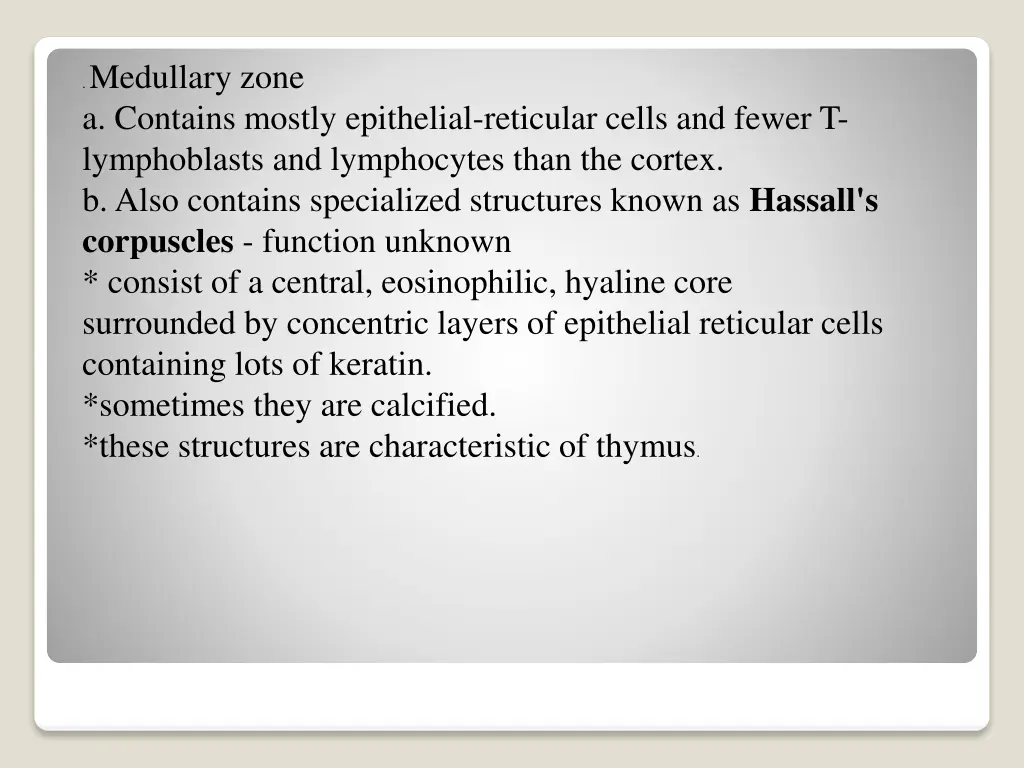 medullary zone a contains mostly epithelial