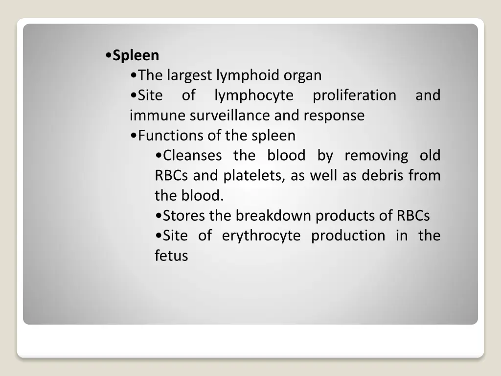 spleen the largest lymphoid organ site