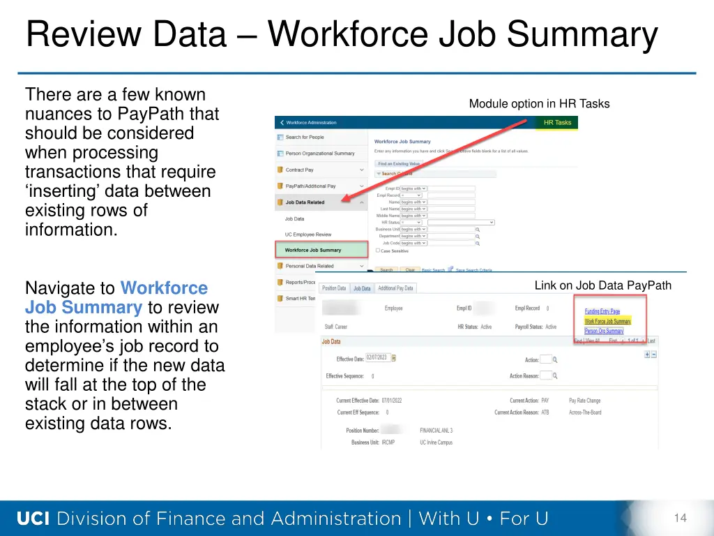 review data workforce job summary