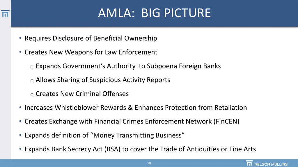 amla big picture