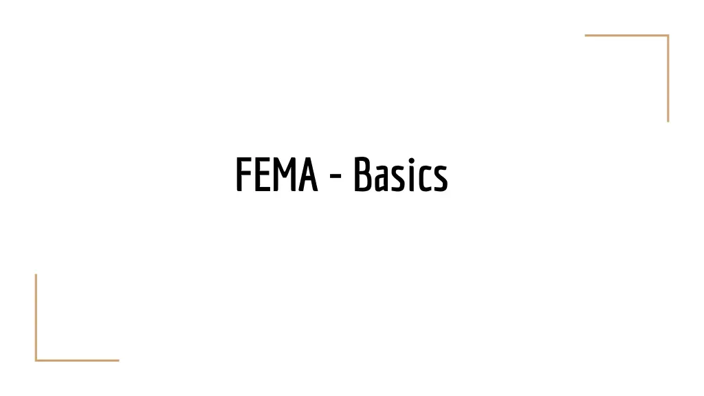 fema basics