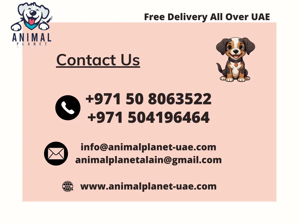 free delivery all over uae 1