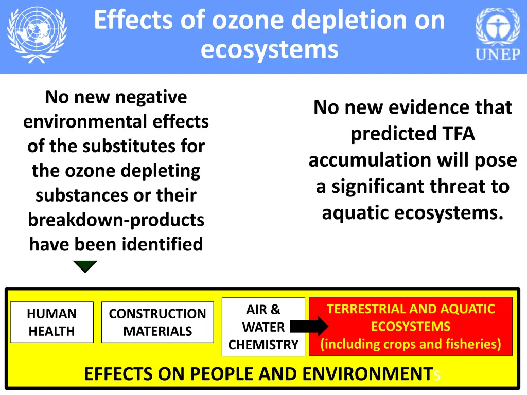 effects of ozone depletion on ecosystems 1