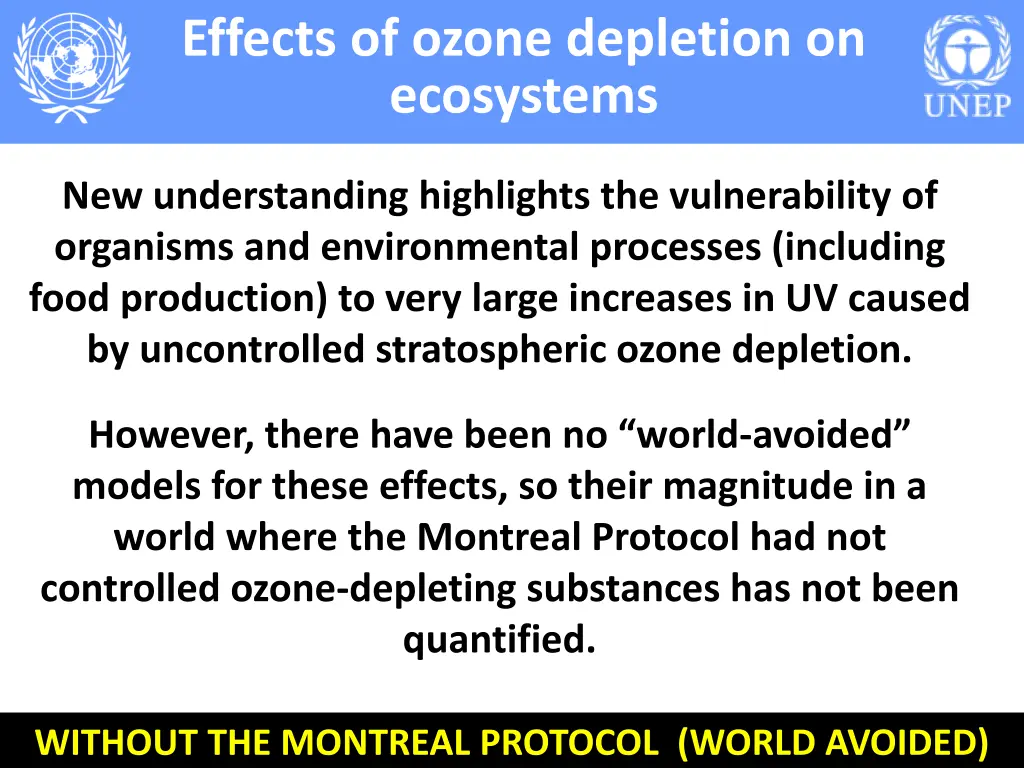 effects of ozone depletion on ecosystems 3