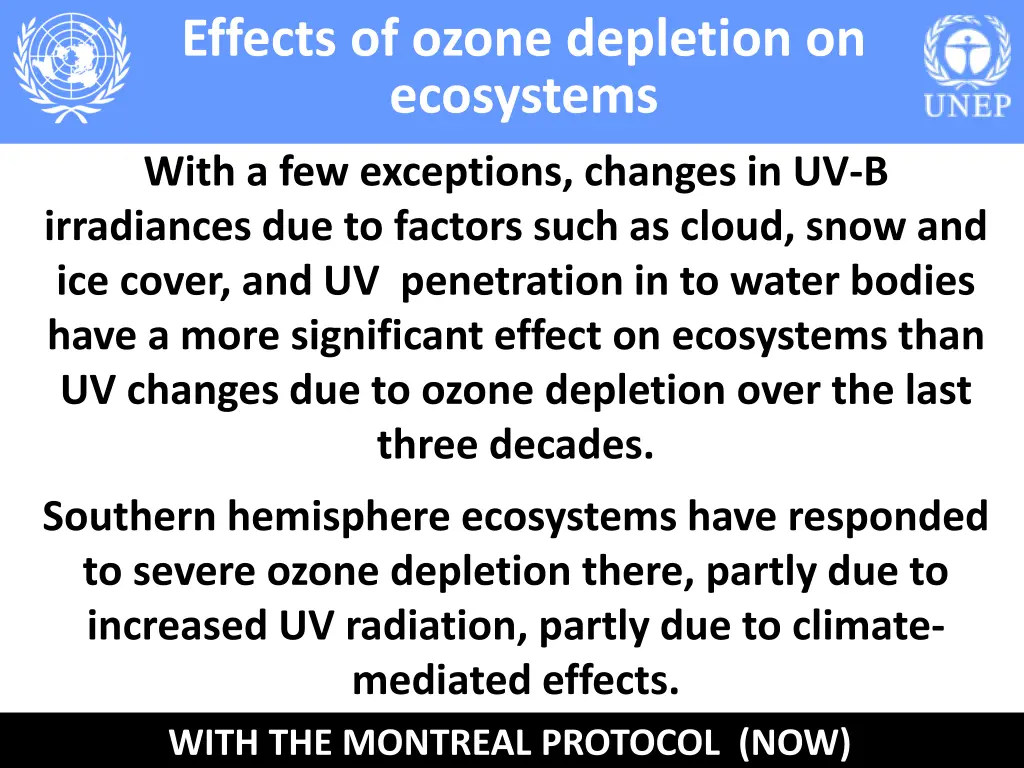 effects of ozone depletion on ecosystems 4