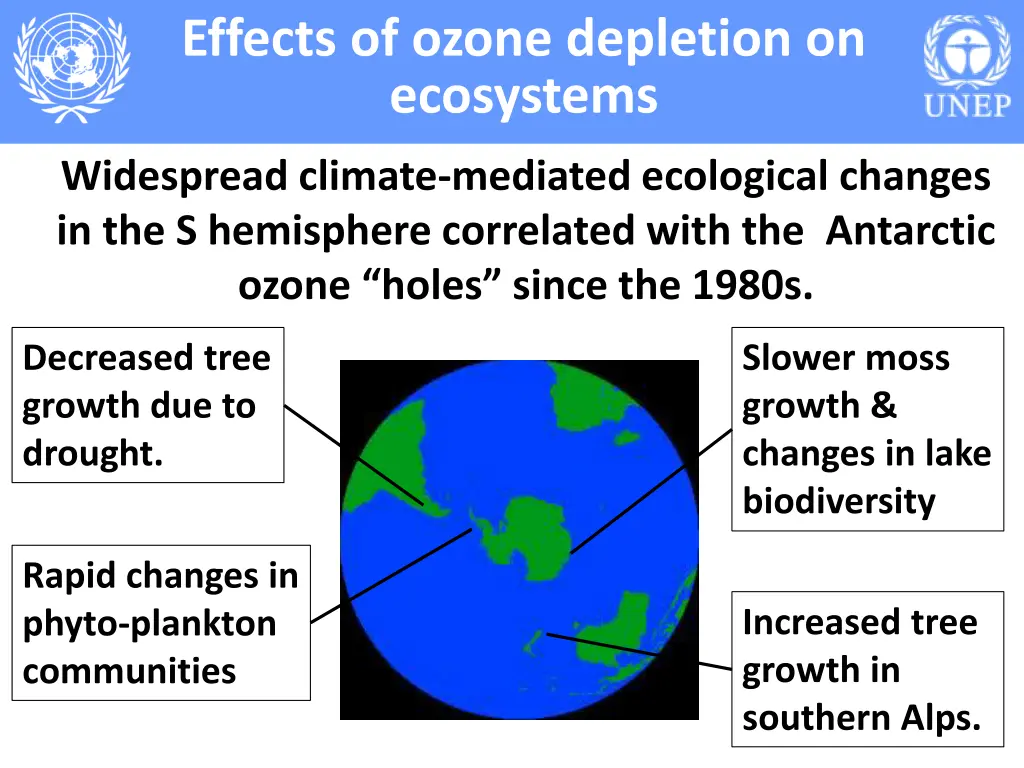 effects of ozone depletion on ecosystems 6