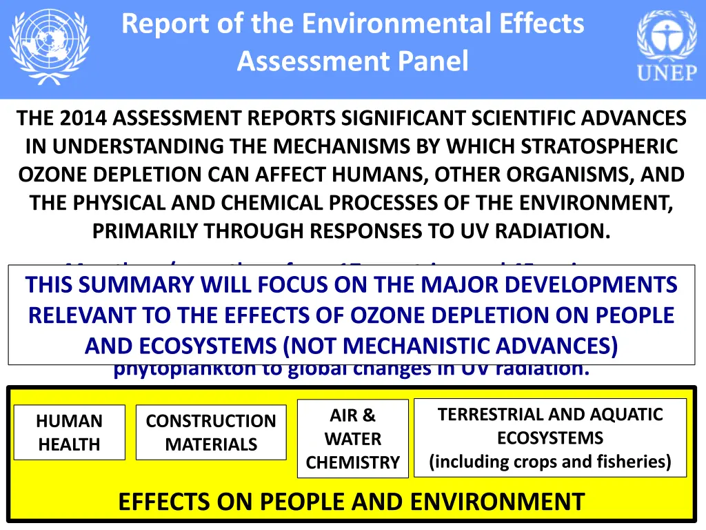 report of the environmental effects assessment