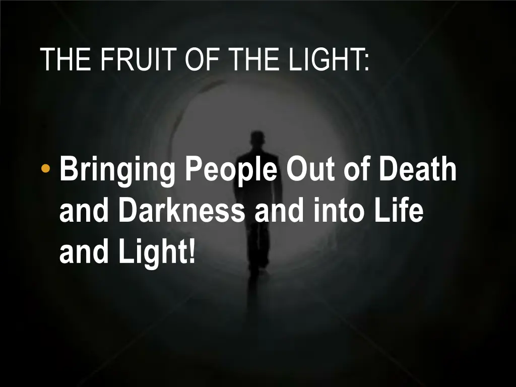 the fruit of the light 1