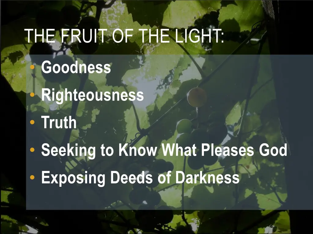 the fruit of the light