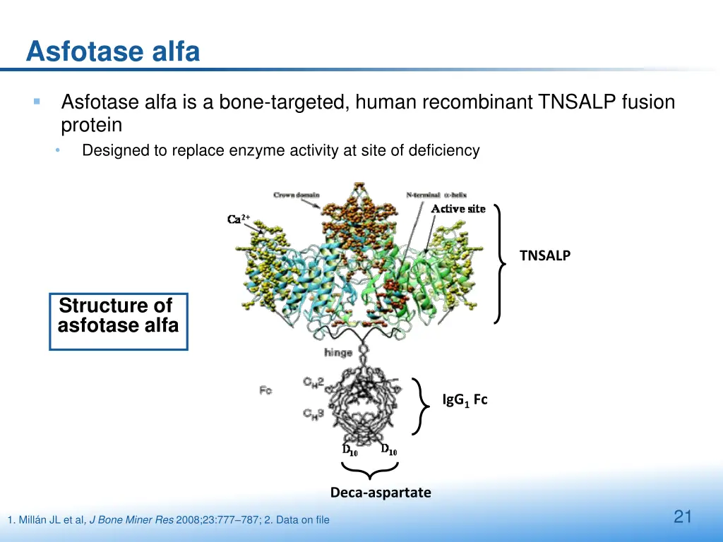 asfotase alfa