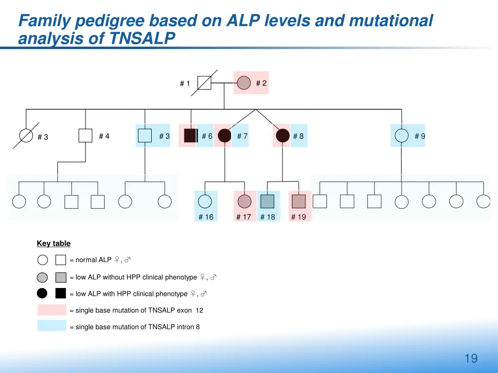 family pedigree based on alp levels 1