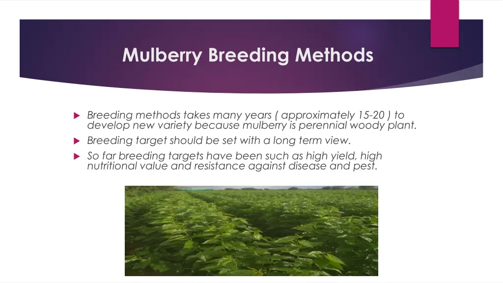 mulberry breeding methods