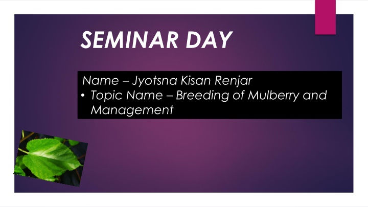 seminar day