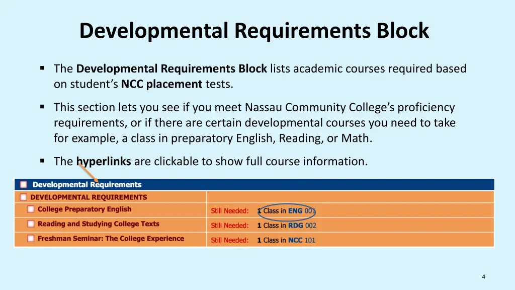 developmental requirements block